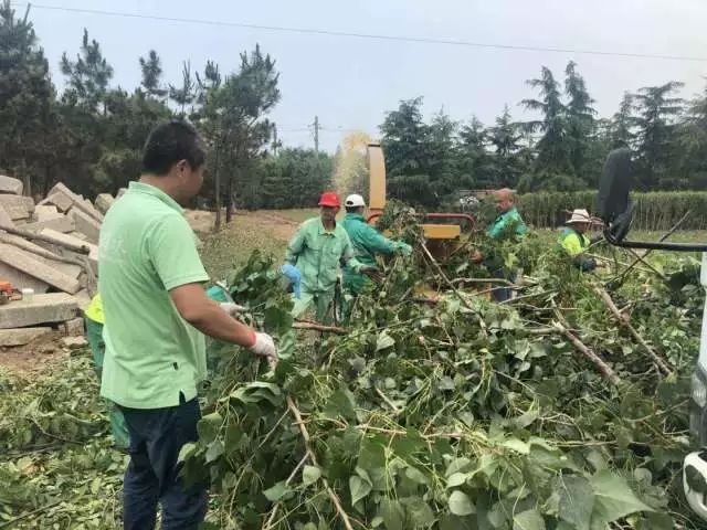 柴油動力樹枝切片粉碎機 枝葉粉碎機