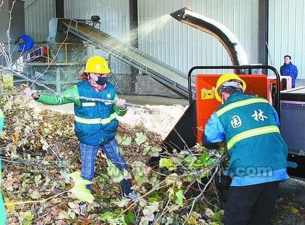 平頂山市樹枝粉碎機廠處理冬季行道樹枯枝落葉