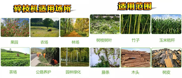 樹枝樹葉削片粉碎機(jī) 城市市政綠化碎枝機(jī)