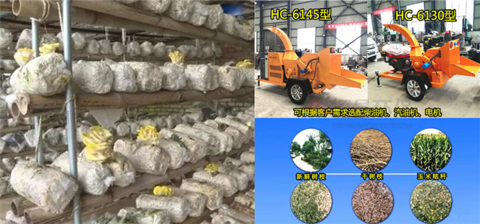 廢棄桃樹(shù)枝粉碎機(jī)制作蘑菇菌棒