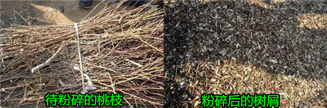 北京市平谷區(qū)廢棄桃樹枝粉碎機